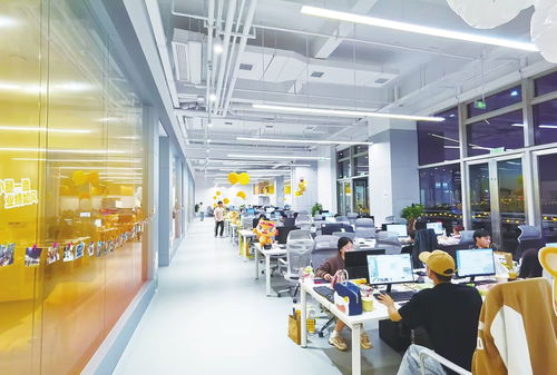 鍥而不舍 追 來10億元項(xiàng)目 皇家小虎 超級(jí)工廠 落戶新區(qū)背后的故事